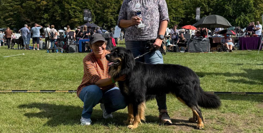 Hovawarte vom Wildweibchenstein