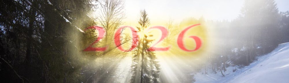 Hovawarte vom Wildweibchenstein